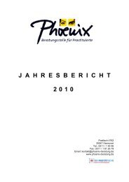J  A  H  R  E  S  B  E  R  I  C  H  T 2010 - Phoenix Beratung Hannover