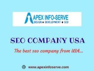 Popular SEO Company USA-Apex Info-Serve