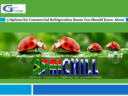 5 Options for Commercial Refrigeration Room You Should Know About