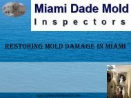 Restoring Mold Damage in Miami 