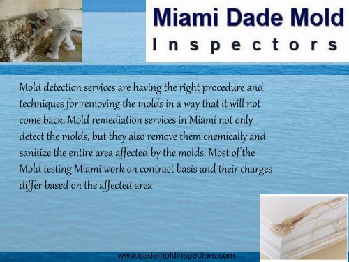 Restoring Mold Damage in Miami 