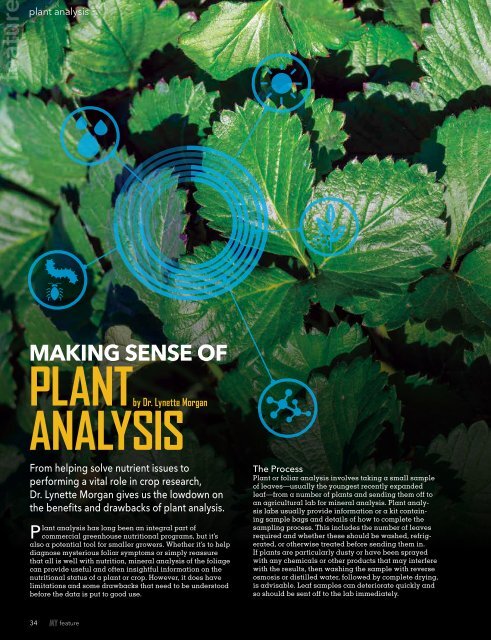 Maximum Yield Canada July/August 2017