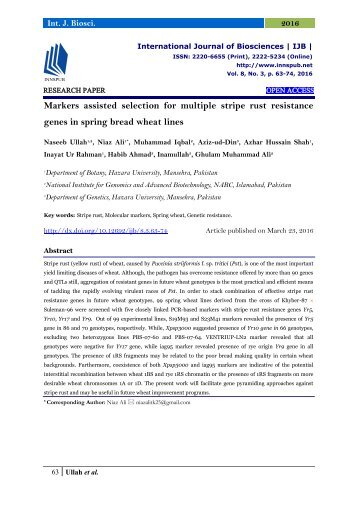 Markers assisted selection for multiple stripe rust resistance genes in spring bread wheat lines