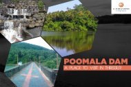 Poomala Dam - A Place to Visit in Thrissur