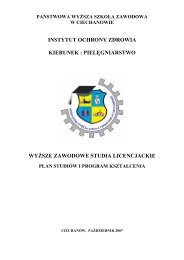 Plan studiów stacjonarnych i program kształcenia2007-2008