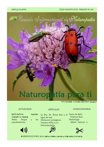 Revista Naturopatia para ti num 24