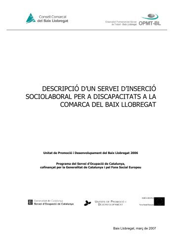 DIAGNOSI INICIAL: Persones amb discapacitat i ocupació al Baix ...