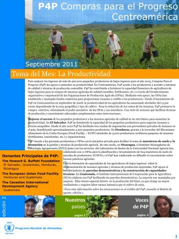 P4P - Programa Mundial de Alimentos - WFP