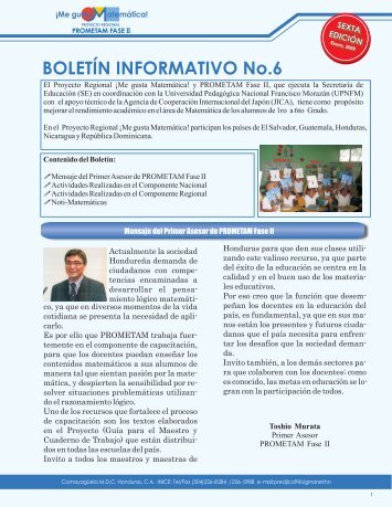 BOLETÍN INFORMATIVO No.6