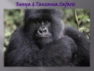 Kenya & Tanzania Safaris