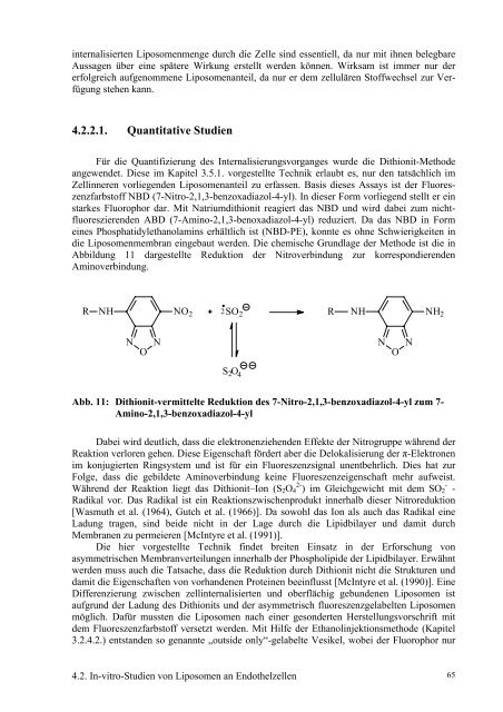 Die Untersuchung des immunoliposomalen Targetings von ...