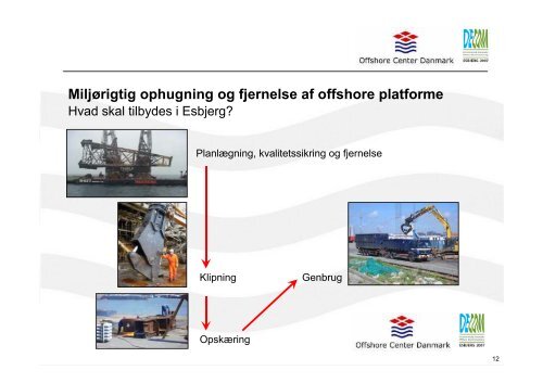 Dekommissionering af offshore platforme v/direktør Peter Blach