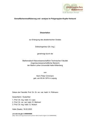 Grenzflächenmodifizierung und -analyse im Polypropylen-Kupfer ...