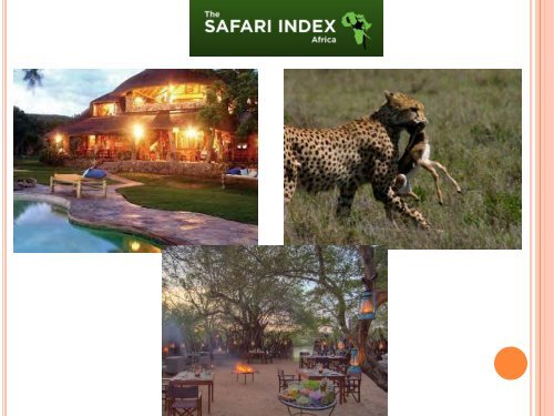 Timbavati Game Reserve – For An Authentic Luxury Lodge Safari in Africa