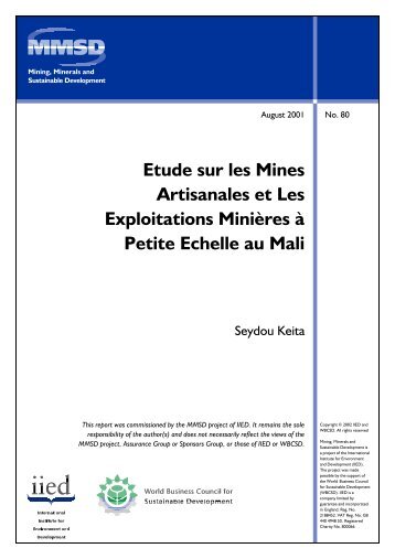 Etude sur les Mines Artisanales et Les Exploitations Minières à ...