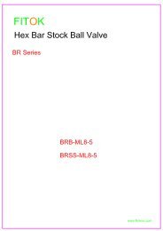 BR Series Ball Valves Model (1)