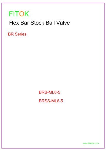 BR Series Ball Valves Model (1)