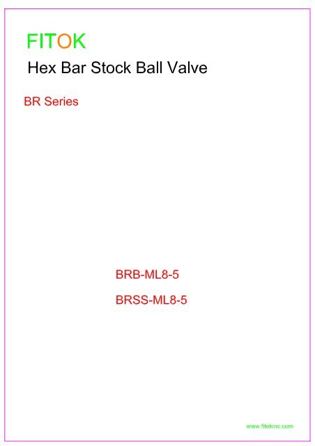 BR Series Ball Valves Model (1)