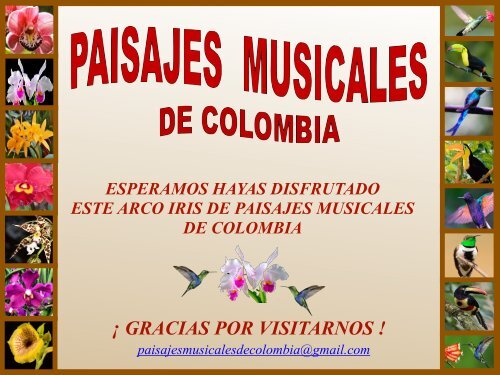 MUSICOS Y ARTISTAS -PAISAJES MUSICALES DE COLOMBIA