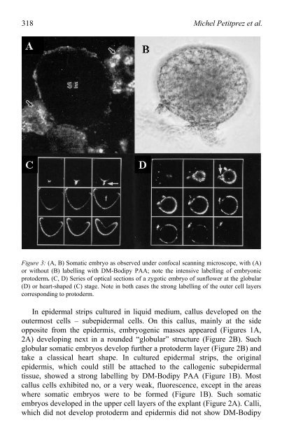 Liquid Culture Systems for in vitro Plant Propagation