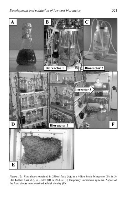 Liquid Culture Systems for in vitro Plant Propagation