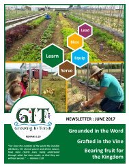GIT Newsletter [1706] - June 2017