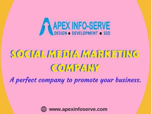 Promote brand with Social Media Marketing Company-Apex Info-Serve