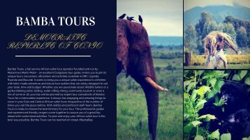 Congo Gorilla Trekking Tours