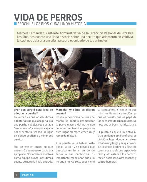 Revista Personas Julio 2018