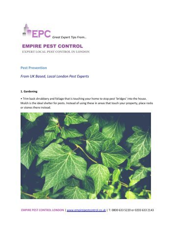 A Few Methods That Can Produce Productive Outcomes For Preventing Pests