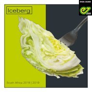 Iceberg 2018