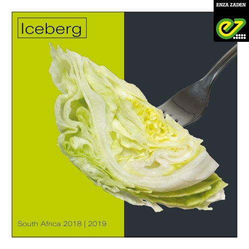 Iceberg 2018