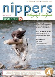 Nippers 2018-2 Ausgabe A