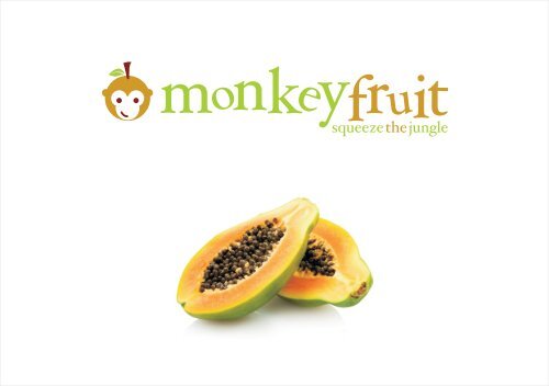 Broschüre Monkeyfruit
