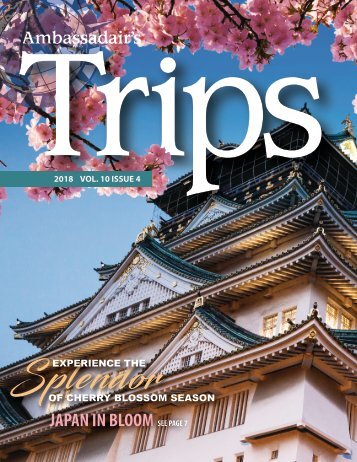 AmbassadairTrips_Vol10Issue4-NewAMBsite