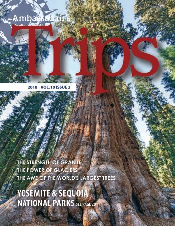 Ambassadair_May_TripsMagazine_CROPPED-NewAMBsite
