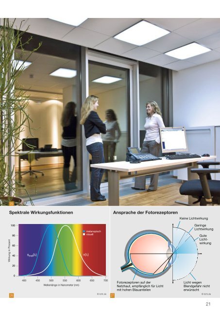 licht.wissen 19 „Wirkung des Lichts auf den Menschen"