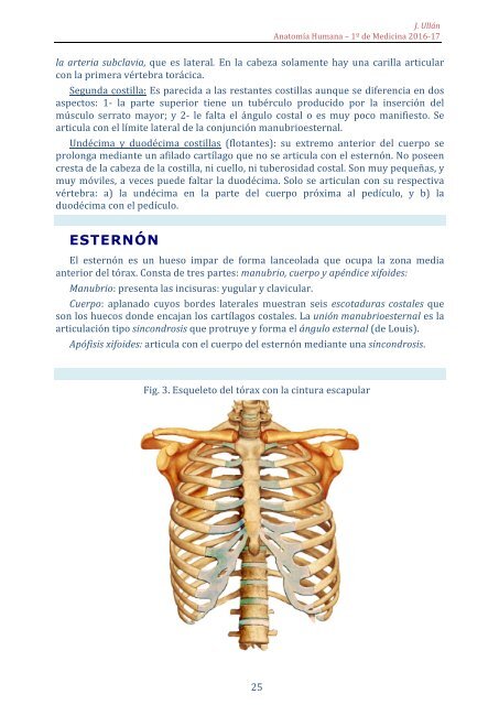 Osteoartrología unav