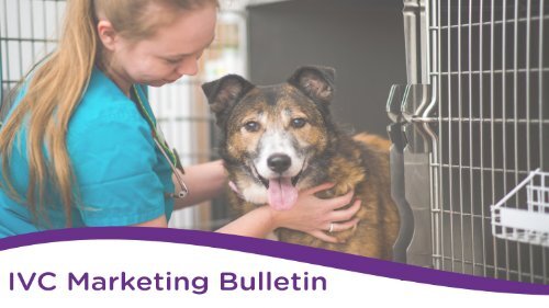 Marketing Bulletin - Final