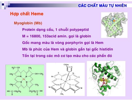 HÓA HỌC THỰC PHẨM - CHƯƠNG 7 - CHẤT MÀU TP