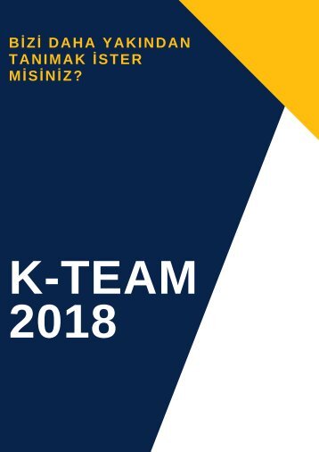 K-team 2018 (2)