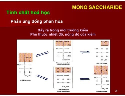 HÓA HỌC THỰC PHẨM - CHƯƠNG 3 - CARBOHYDRATE - TÔN NỮ MINH NGUYỆT