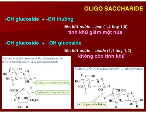 HÓA HỌC THỰC PHẨM - CHƯƠNG 3 - CARBOHYDRATE - TÔN NỮ MINH NGUYỆT