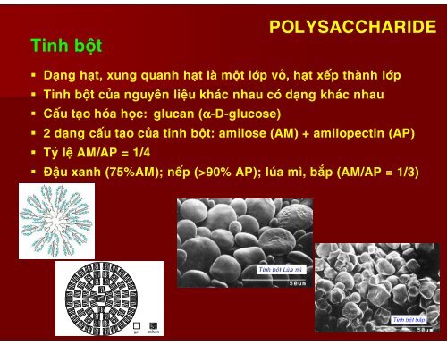 HÓA HỌC THỰC PHẨM - CHƯƠNG 3 - CARBOHYDRATE - TÔN NỮ MINH NGUYỆT