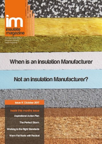 Insulate Magazine Issue 11