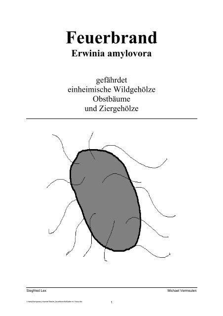 Feuerbrand Erwinia amylovora - Verblasetechnik