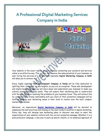 A Professional Digital Marketing Services Company in India