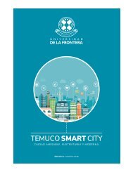 Temuco Smart City