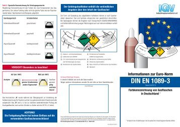 Informationen zur Euro-Norm DIN EN 1089-3 - IGV