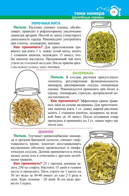 Всему свету по совету №13 